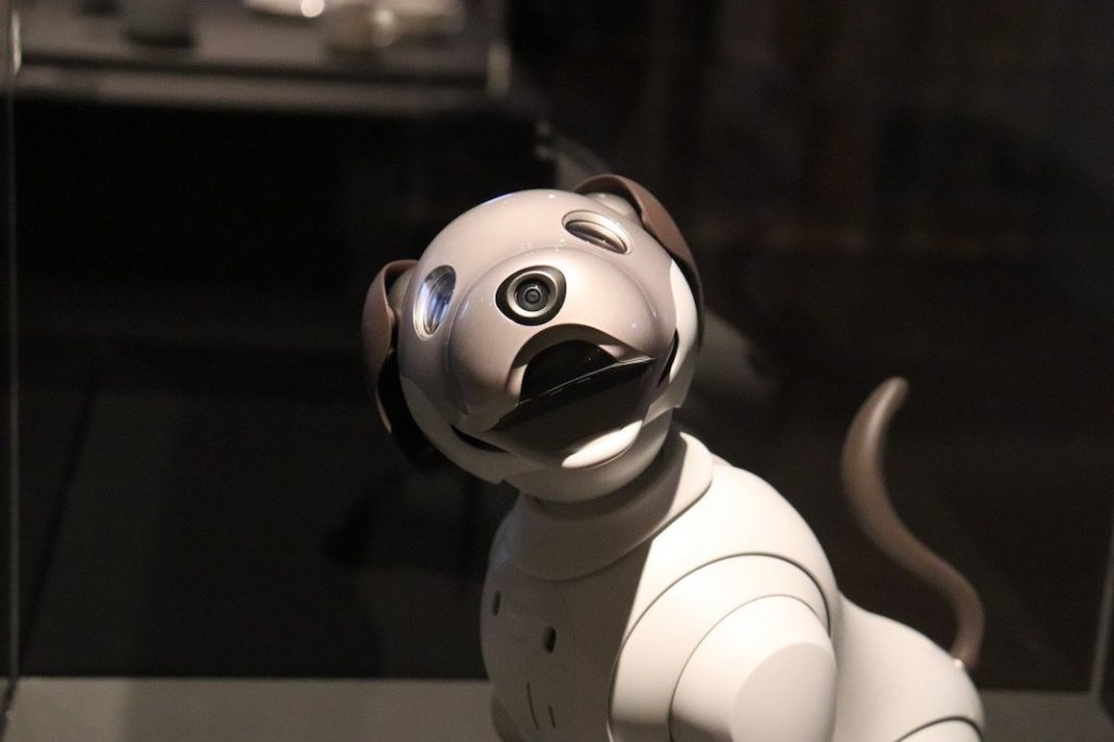 Now robots do pet therapy